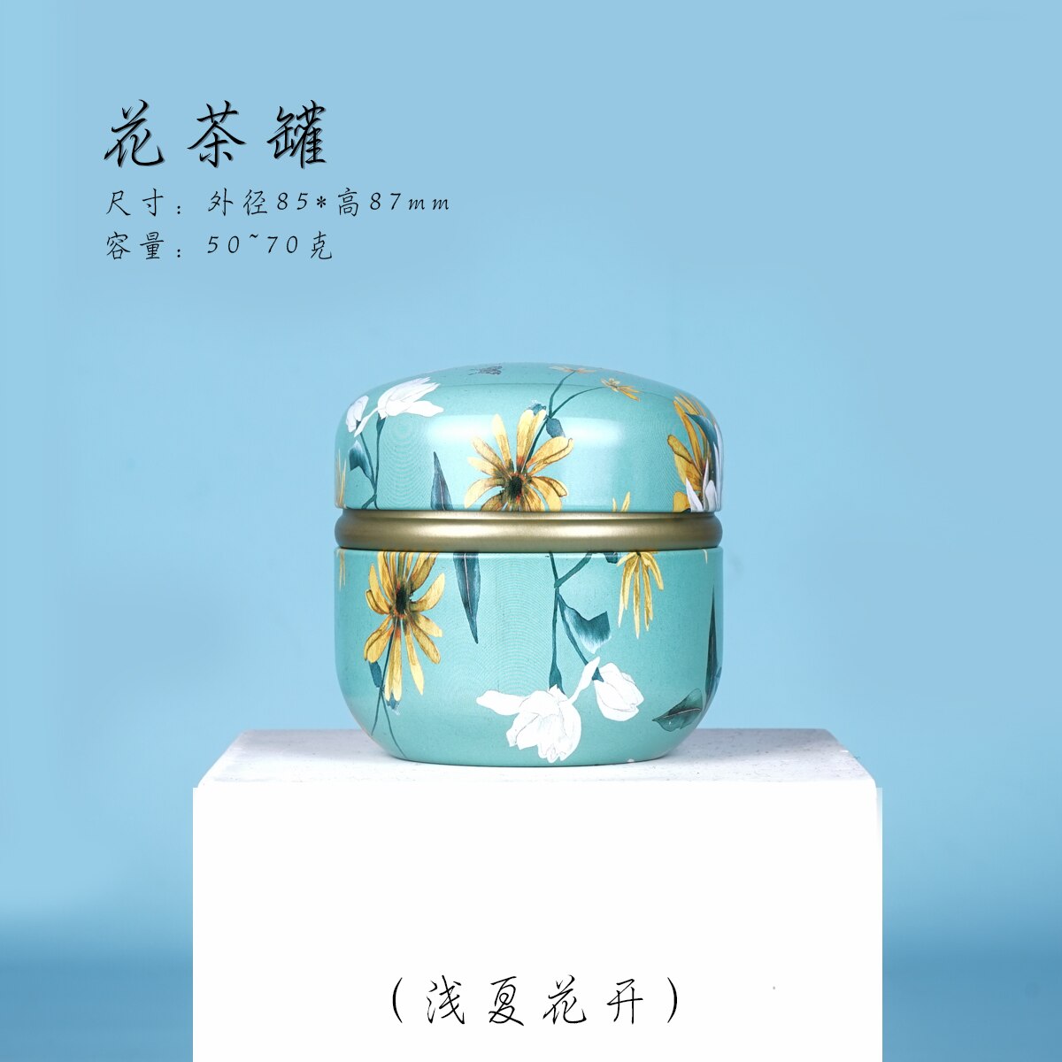 Honden Katten Kleine Huisdieren Crematie Ijzer Urn Dier As Houder Urnen Huisdier Gedenktekens Kist Begrafenis Aandenken Display Thuis Of begraven: Licht Groen