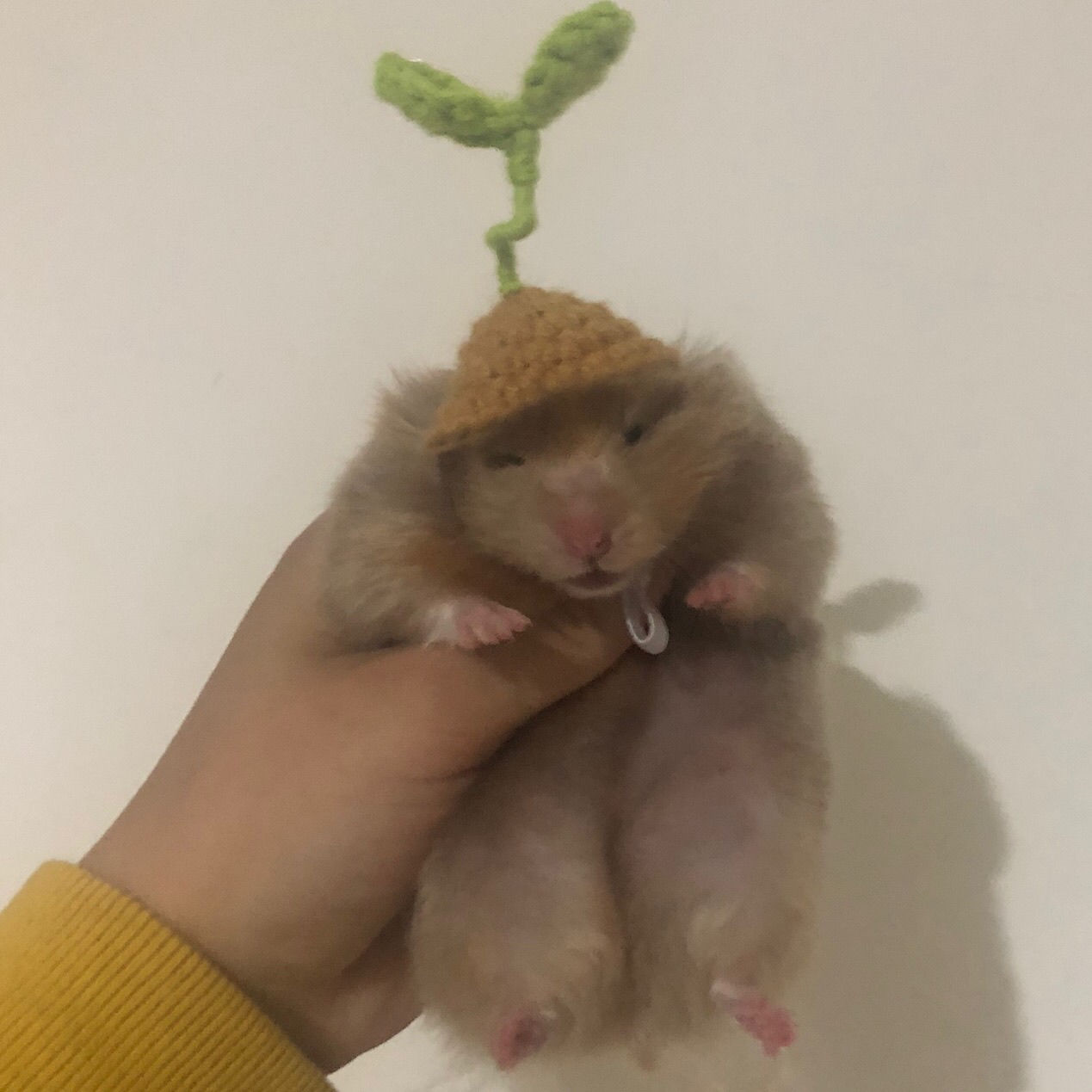 Hand Crocheted Hamster Hat Hamster Accessories Chipmunk Dwarf Rat Small Animal Hat Cute Hamster Clothes Hamster Supplies: 004