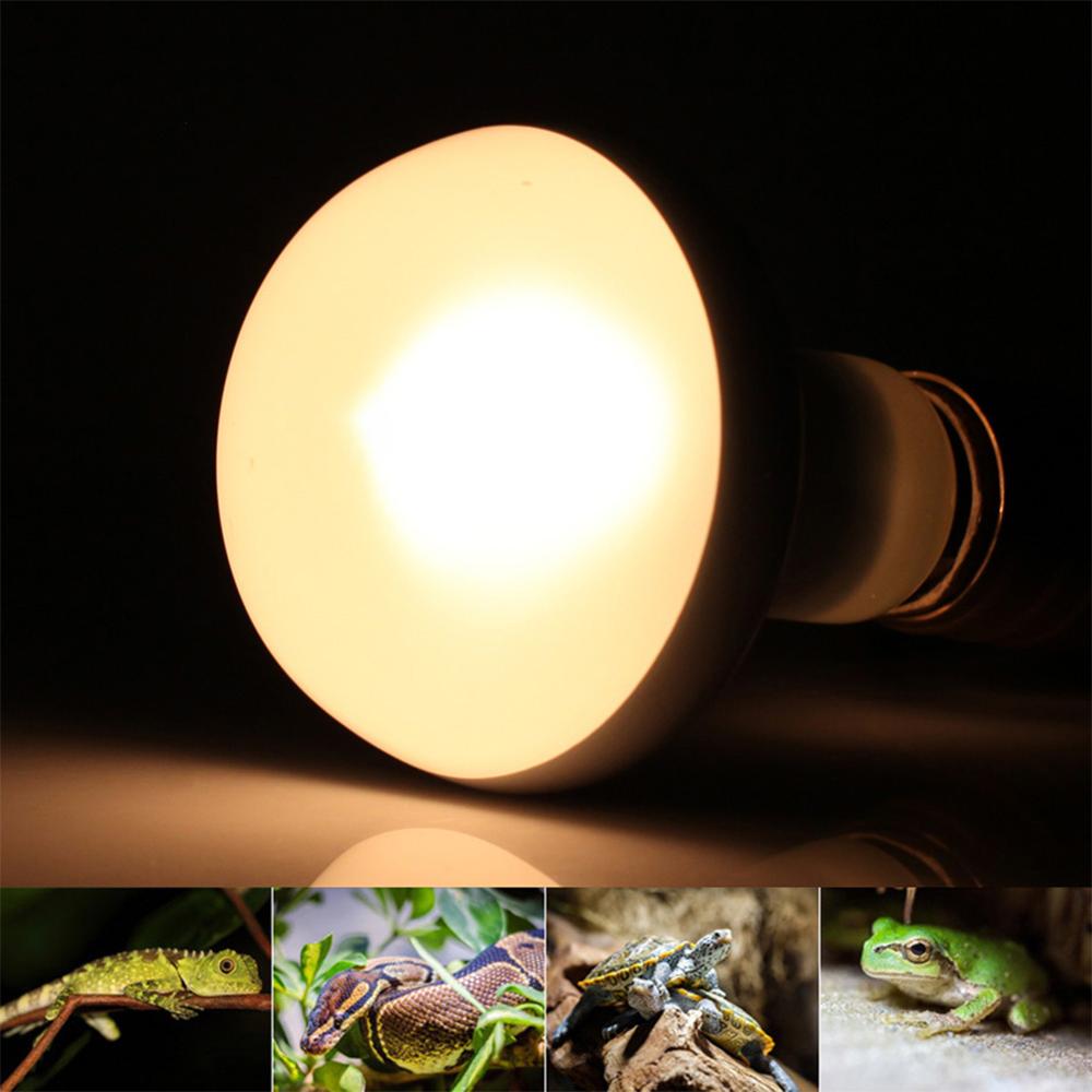 Reptile Lamp Clip-on Bulb Lamp Holder Thermometer Hygrometer Turtle Tortoises Basking Lamp Heat light