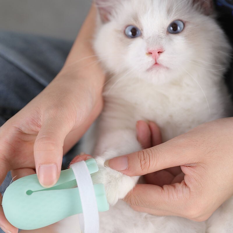 Kattskor använder för bad tvätt klo stövlar fotskydd anti-bett skydd justerbar katt tass naglar skor stövlar anti-repa