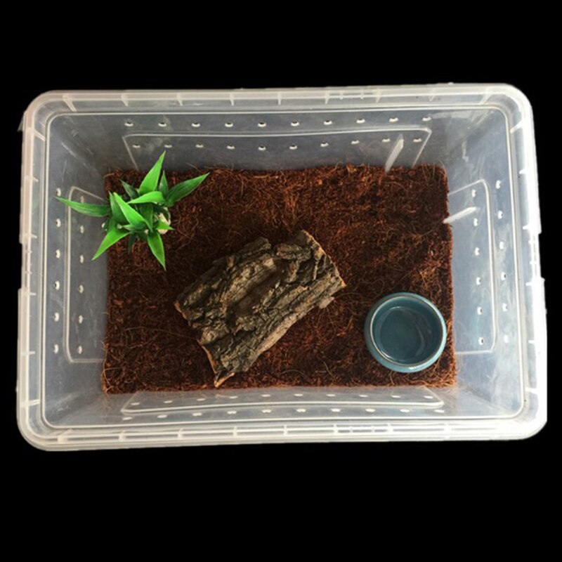 Reptile Tank Insect Spiders Tortoise Lizard Acrylic Transparent Breeding Box Vivarium Lid Reptile Pet Product Terrarium