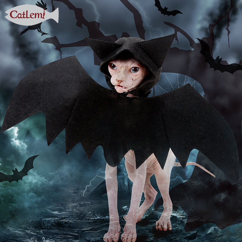 Halloween Huisdier Puppy Kat Vleermuis Hooded Licht Make-Up Outfit Bat Wings Black Cool