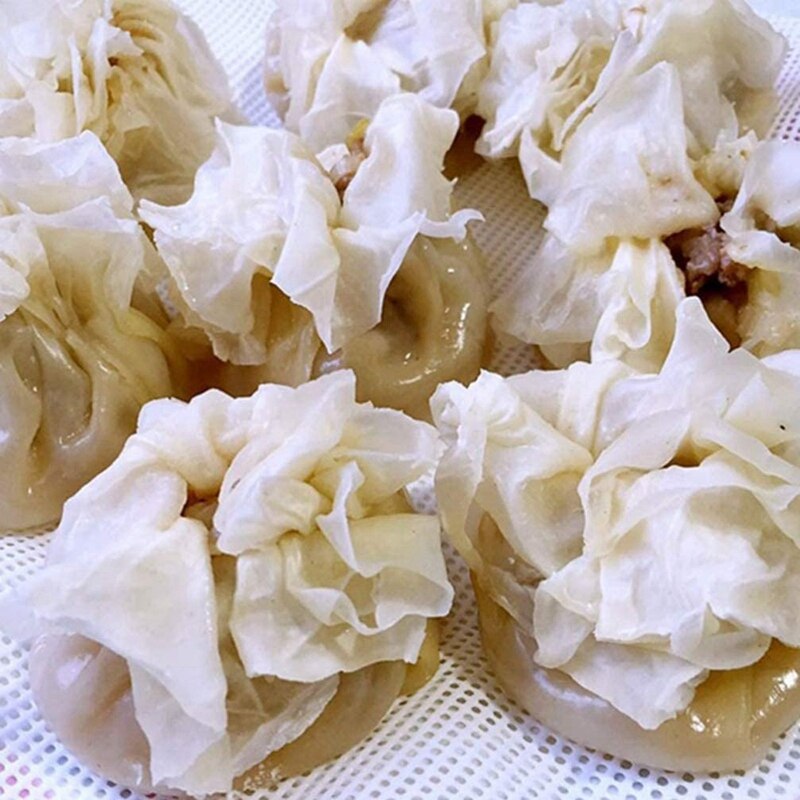 10 stk ikke-pinne silikon spjeld foringer mesh matte pute runde dumplings matt bakverk dempet sum mesh 30cm