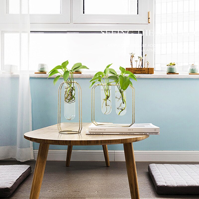 Nordic Glass Cuvette Vase Modern Gold Plated Iron Flower Vase Plant Vase Terrarium Room Home Wedding