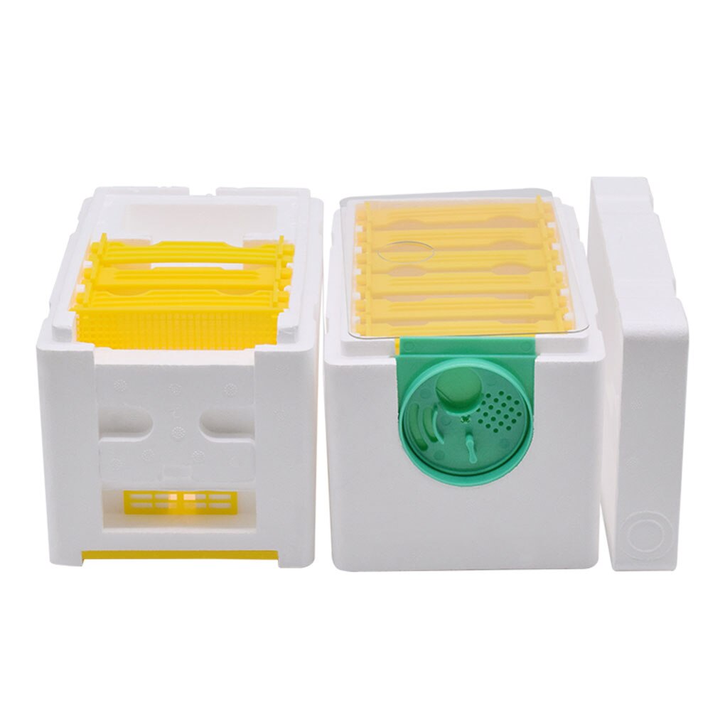 Beekeeping Queen Breeding Rearing Mini Mating Hive DIY Beekeeping King Pollination Box