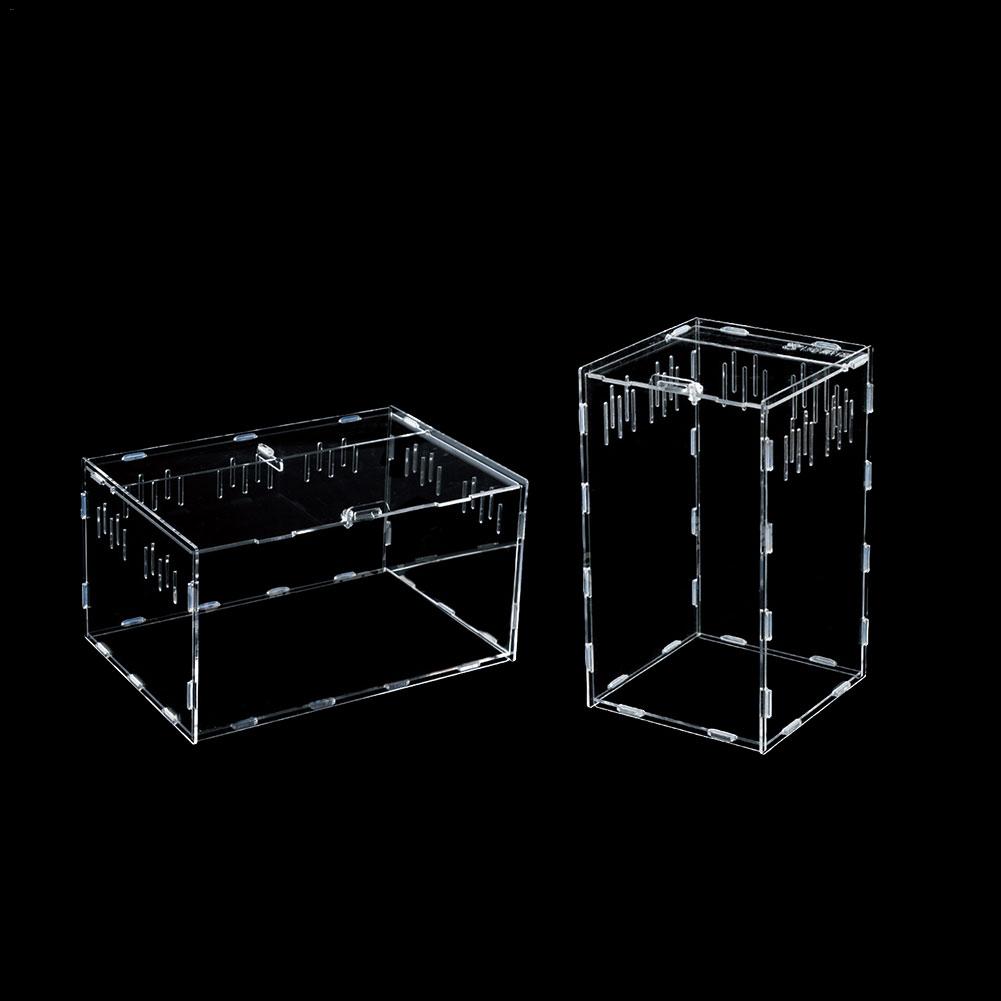Akryl krybdyr tank insekt skildpadde firben gennemsigtig avlsboks vivarium låg krybdyr kæledyr produkt terrarium til små dyr