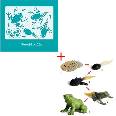 6 Sets Simulation Animal Life Cycle Growth Model Butterfly Frog Turtle Chick Ant Stencils Drawing Board Biology Teaching Tools: Light Yellow