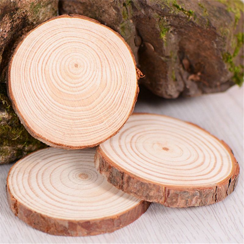 5pcs Unfinished Natural Round Wood Slices Circles With Tree Bark Log Discs T5EC
