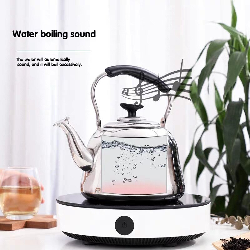 1L Tea Kettle with Filter Insert Energy Saving Stainless Steel Kettle Stainless Steel Kettle