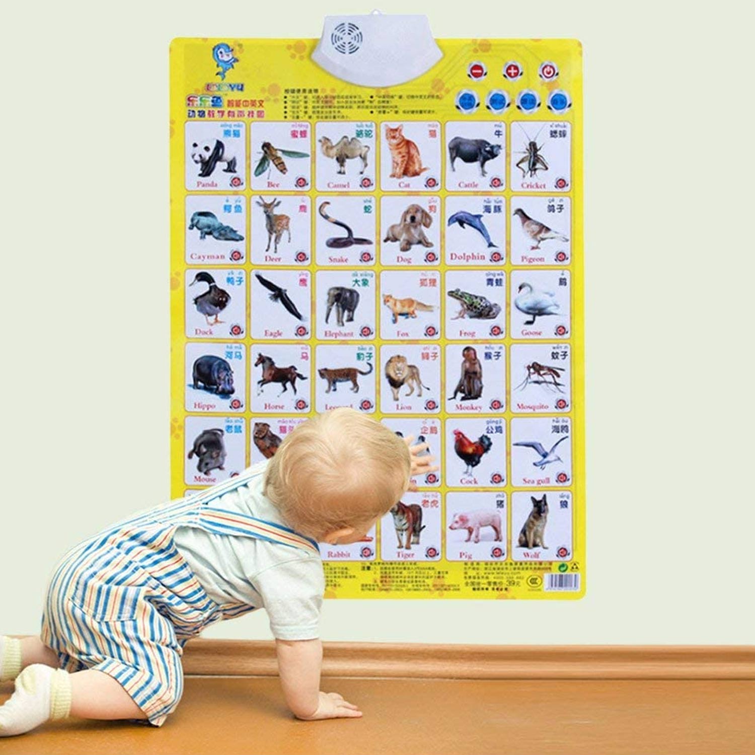 Besegad børn pædagogisk engelsk kinesisk lyd vægkort plakat til børn småbørn hjemme førskole børnehave læring legetøj: Dyr