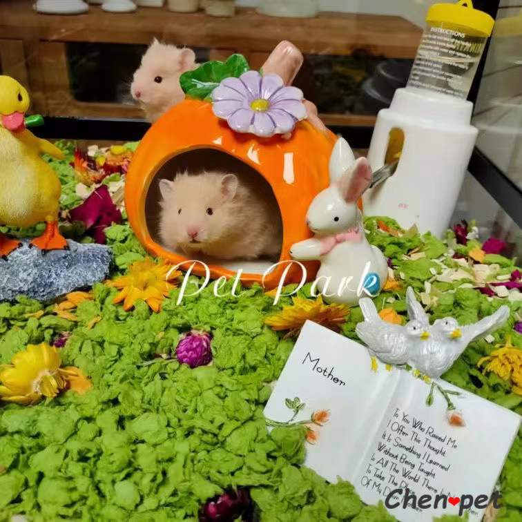 Cama de cerámica con de calabaza para hámster, jaula para ratas, conejillo de indias, accesorios para mascotas pequeñas, hámster y chinchillas sirios