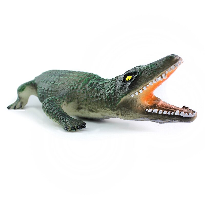 Zachte Krokodil Model Krokodil Simulatie Model Krokodil Wetenschap En Onderwijs Kinderen Speelgoed