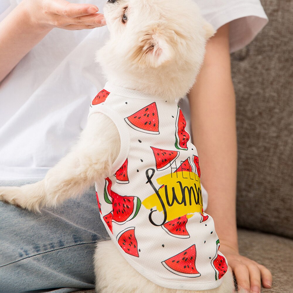 Miflame Hello Summer ropa de perro chalecos para disfraces de mascotas Chihuahua Pomerania camisetas de camisas con de chaleco para mascota playera para mascota