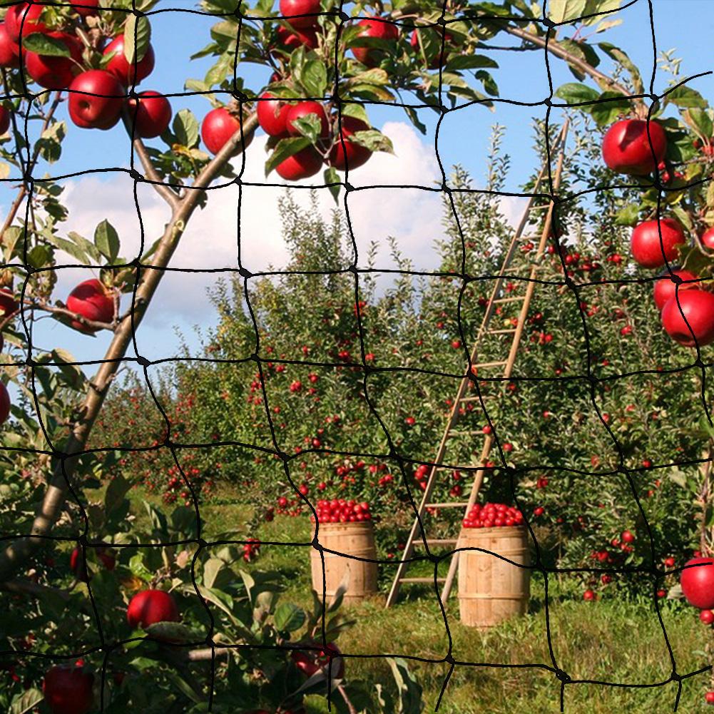 Barrier Bird Repellent Netting Protect Plants Fruit Trees Extra Strong Garden Net Reusable Lasting Against Birds