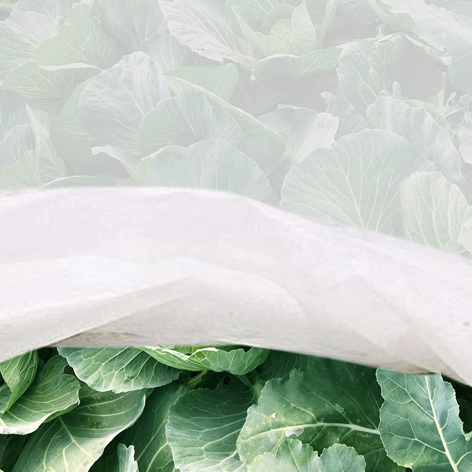 40 gsm vinter genanvendeligt plantebetræk fiberdug frysebeskyttelse plante frostbeskyttelse tæppe haveforsyninger fugle insekt