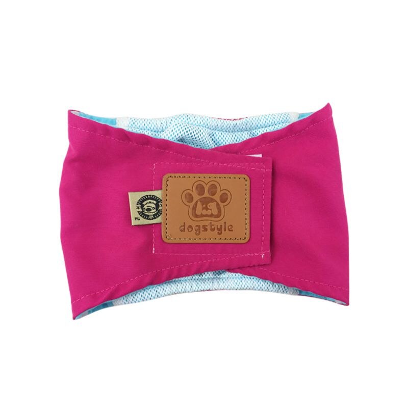 Hond Menstruatie Luiers Voor Honden Slips Hond Broek Menstruatie Underpants Wasbare Lafaards Nappy Rijbroek Ondergoed: Paars / XL