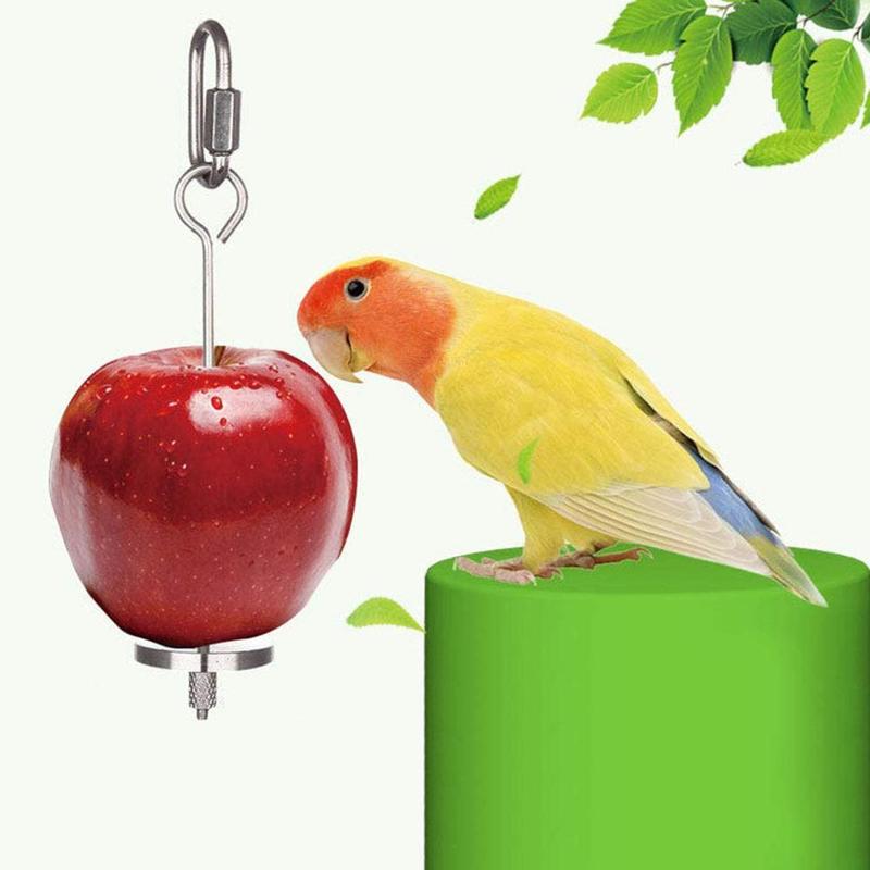 12cm 20cm Stainless SteelSmall Parrot Toy Meat Food Holder Stick Fruit Skewer Bird Treating Tool Bird Cage Accessories Supplies