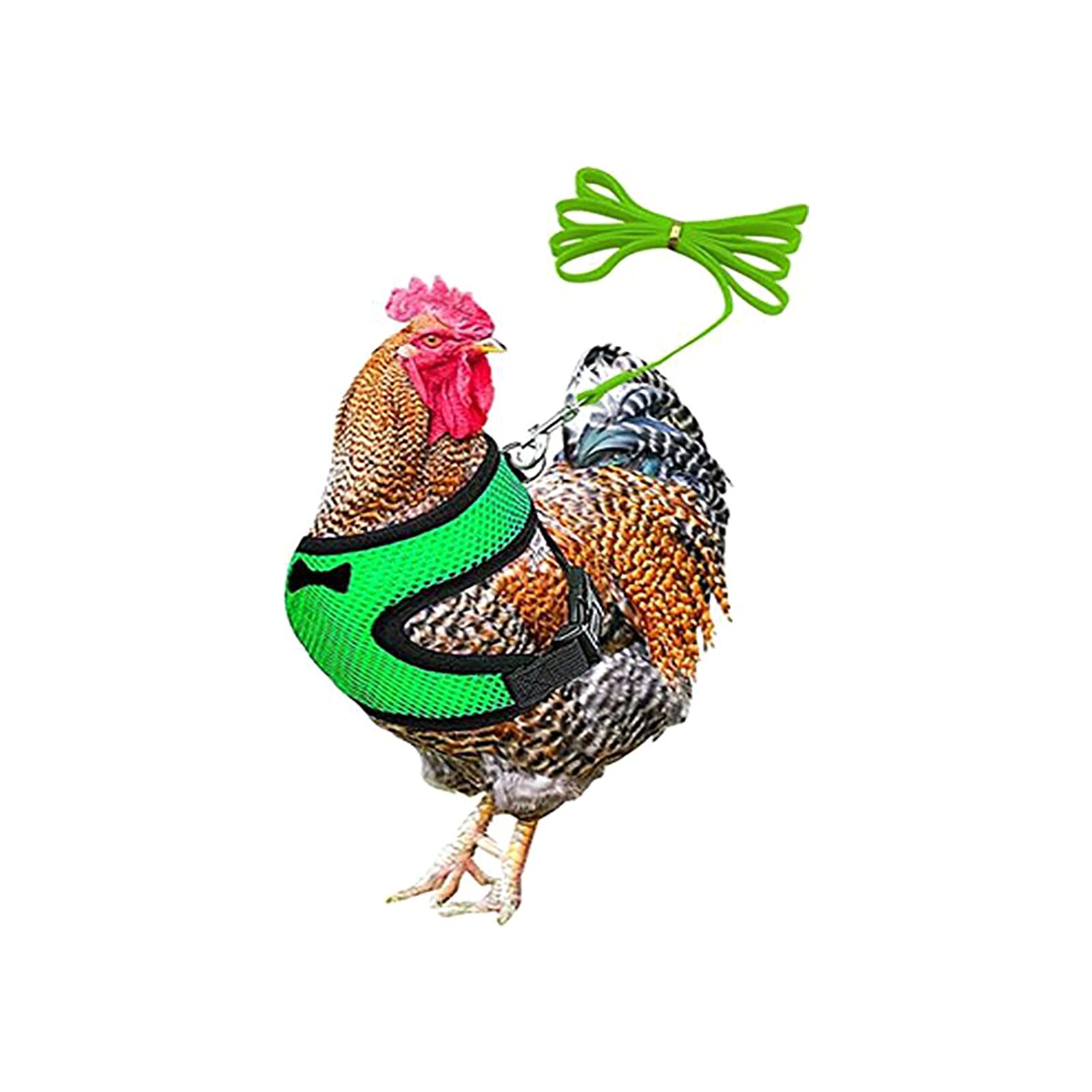 Pettorina per pollo da allenamento per ciotole forniture per pollame cinturino regolabile elastico con guinzaglio a passeggio all'aperto la moda maglia galline gilet per animali domestici