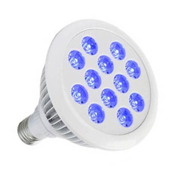 12W 24W E27 Marine Aquarium LED Lamp White Blue Lamp PAR30 Full Spectrum Reef Coral Fish Tank Aquarium: 24W 450nm