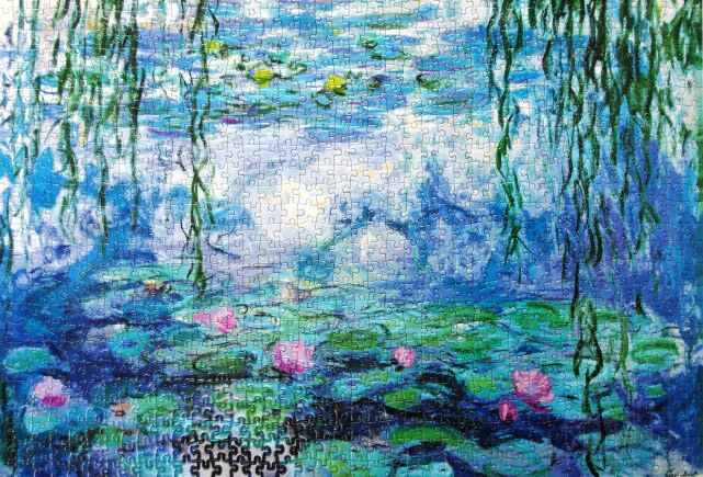 1000 Pcs/set DIY Landscape Paper Puzzle Children Toys Adults Collection Jigsaw Puzzle Students DIY Home Decoration: Water lily