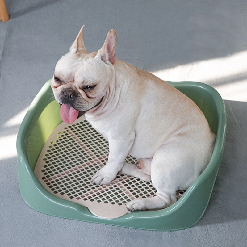 Toilette Portable en plastique Double couche pour chien, tapis d'entraînement pour chiot chat, toilette pour petit Animal, nettoyage des animaux domestiques, fournitures d'intérieur