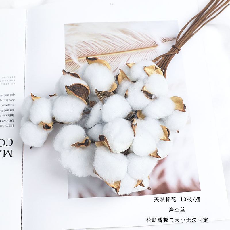Branche de fleur artificielle en coton naturel, 1 pièce, pour décoration de mariage, noël, couronne faite à la main, fleur de Kapok, fournitures de décoration pour la maison