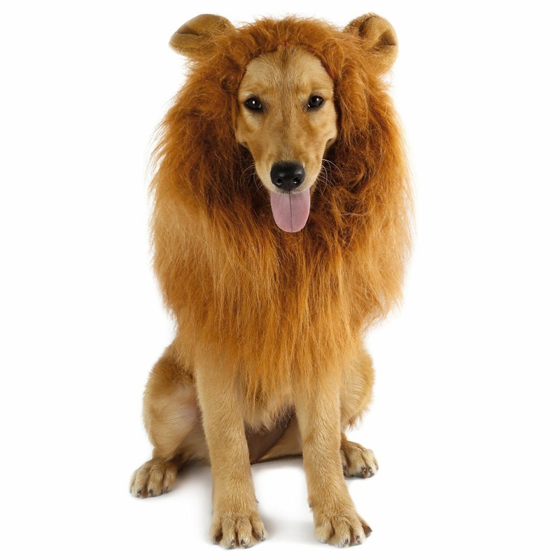 Perruque/oreilles pour grand chien | 4 couleurs, Costume pour animaux domestiques, crinière de Lion, déguisement d'halloween