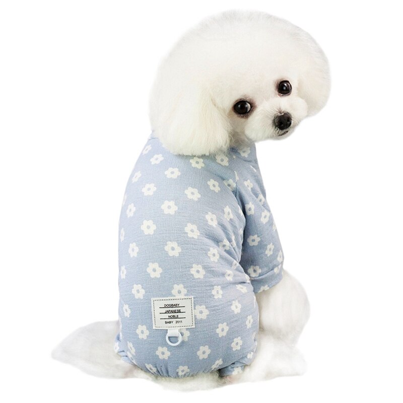 Charlie Choe velours meisjes pyjama - kopen? (Katoen) Bekijk Online Charlie Choe velours meisjes pyjama - kopen? (Katoen) Bekijk Online