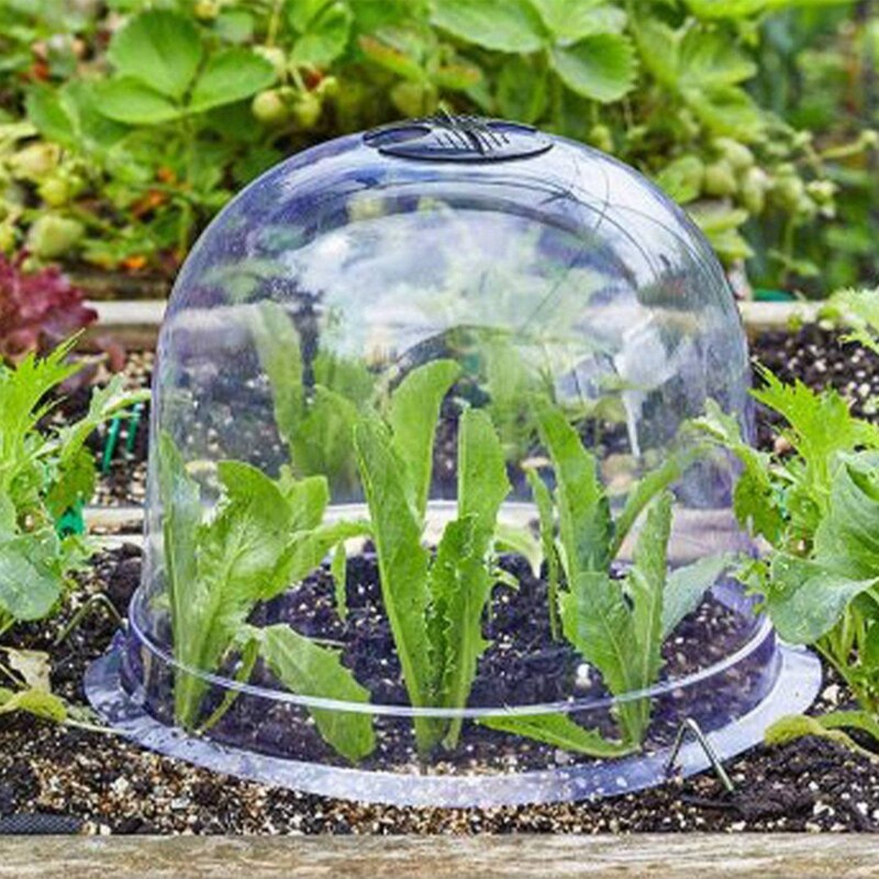 12Pcs Garden Cloche,Plastic Plant Protect Cover Garden Cloche Dome for Outdoor Plant Humidity Adjustable Dome for Seed