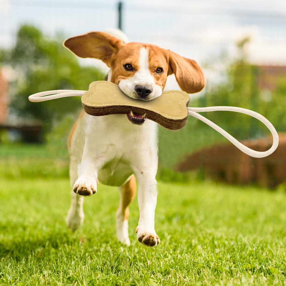 Slidstærkt hundebid slæbebåd legetøj søde hunde tygger legetøj oksekød ruskind træningsprodukter små store hunde, der bider, spiller tænderensning