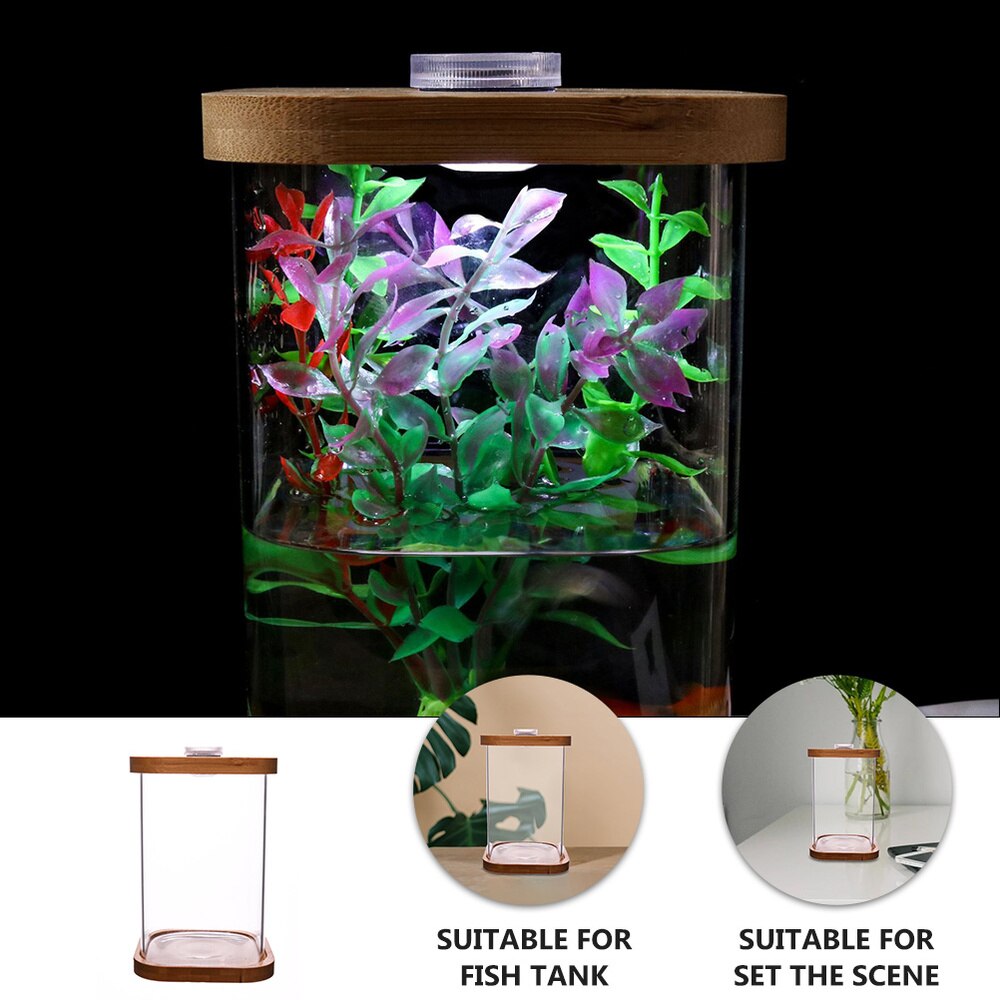 Mini Aquarium carré en verre, 1 pièce, Base en bambou