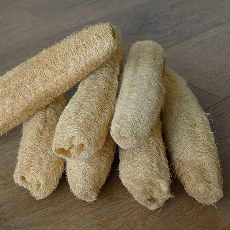 5 kpl luonnonmukaisia orgaanisia keittiön pesusieniä, suurikokoinen vartalon selänpesuaine miehille, naisille, aikuisille, kylpyläkauneudenhoitoon, kylpemiseen ja päivittäiseen hoitoon