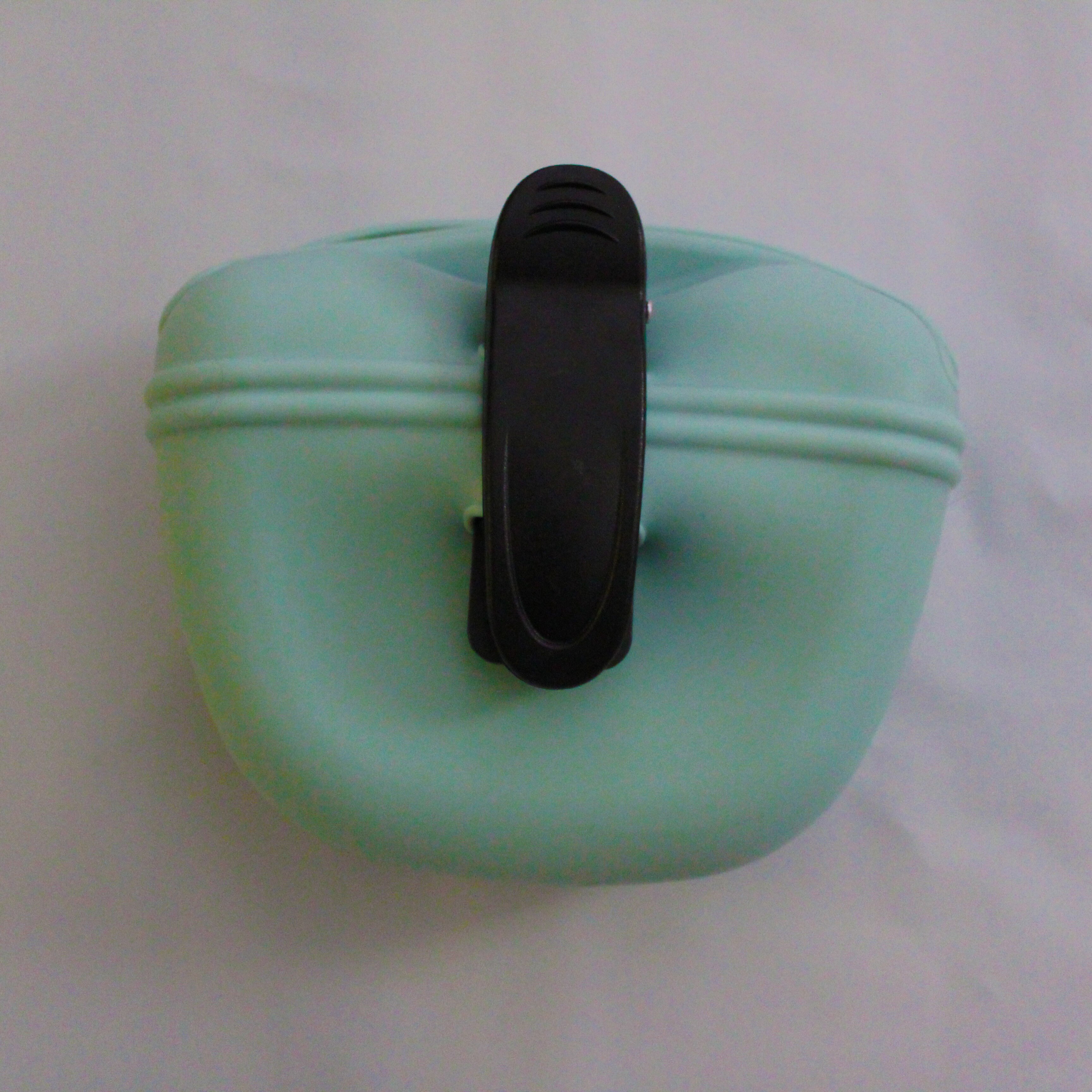 Huisdier Draagbare Hond Training Heuptas Behandelen Snack Aas Honden Gehoorzaamheid Agility Outdoor Feed Opslag Pouch Voedsel Beloning Taille Zakken: A5-green