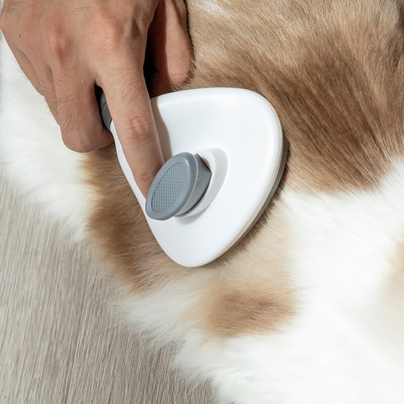 Cepillo de pelo para perros y gatos, peine de masaje de autolimpieza, Golden Retriever, productos para mascotas, accesorios