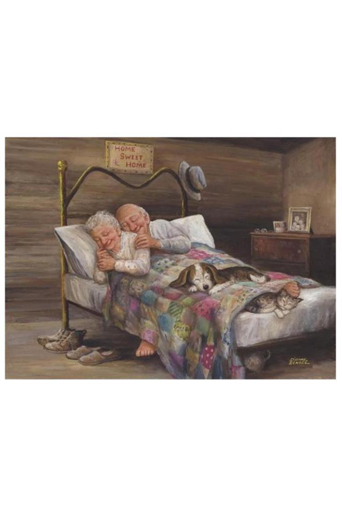 3124 keine Ort Wie zu hause 1000Stck Puzzle / Anatolian