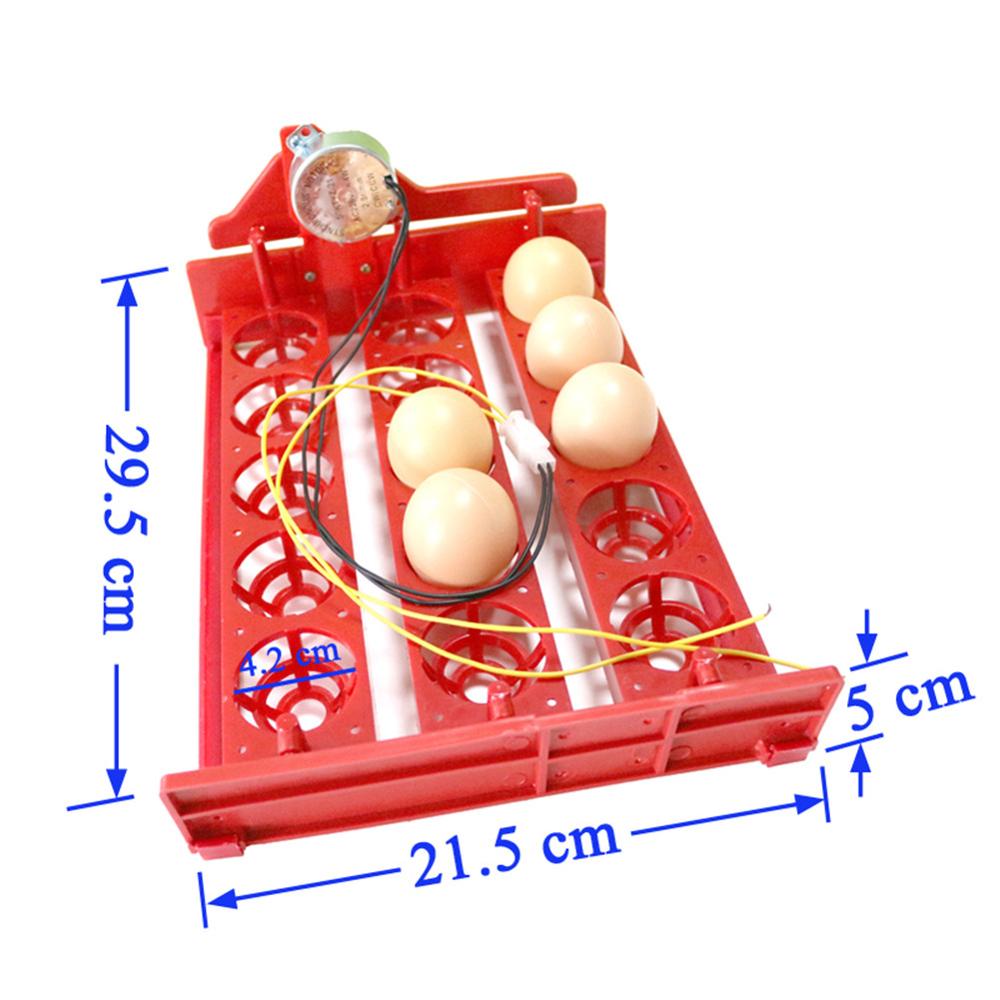 15 Eggs Automatically Incubator Turn Eggs Tray 220V/110V/12V Motor Chicken Birds Eggs Hatching Equipment Poultry Incubator