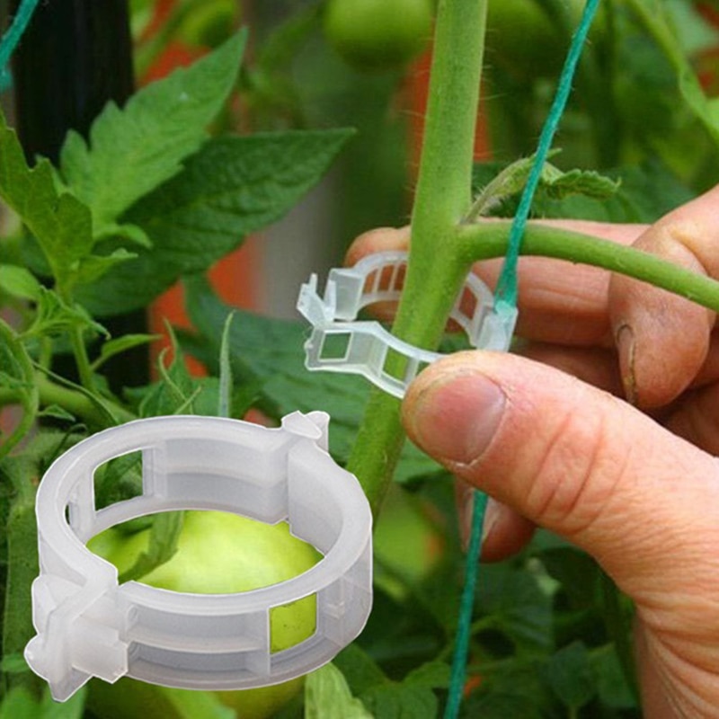 50 pièces/paquet Mini Clips de greffage en plastique Transparent Clips de tomate Supports de plantes relie les plantes de vignes semis Clips de greffage