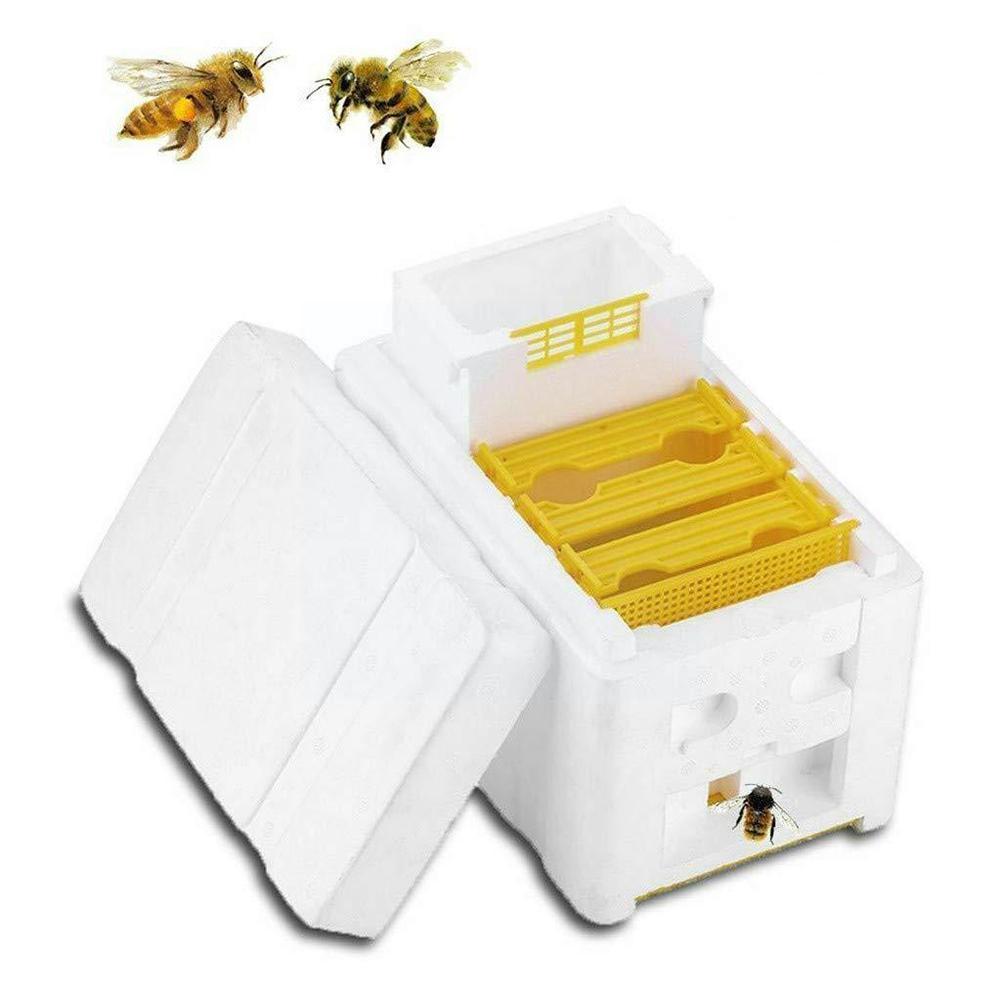 Beekeeping King Box Pollination Box Foam Frames Beekeeping Equipment Kit Harvest Beehive Box For Garden Pollinator Tool T2F9