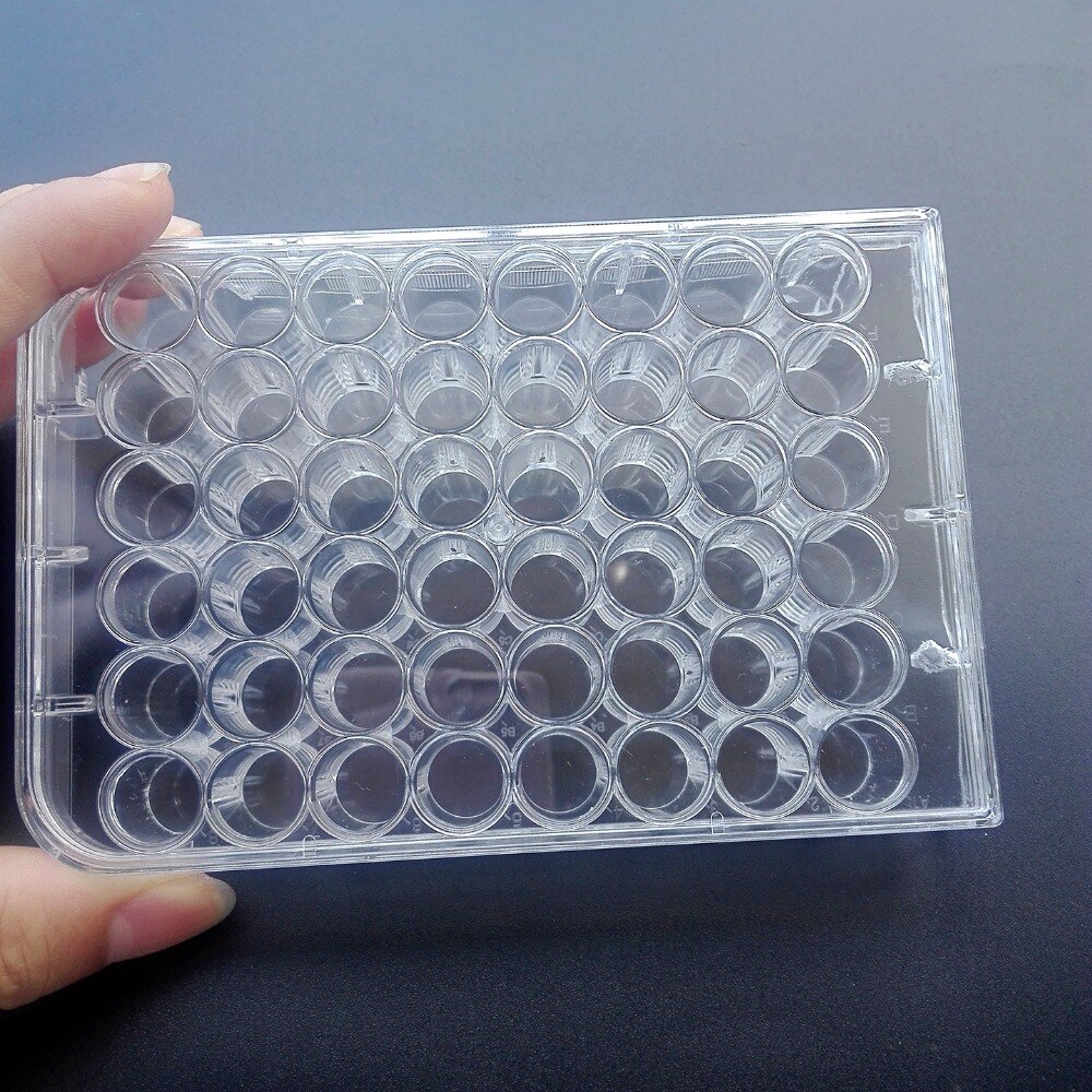 10 Stks/zak, 10*10 Cm Vierkante Met Maatstreepjes Wegwerp Petrischaal Bacteriële Cultuur Plaat Sterilisatie Schotel