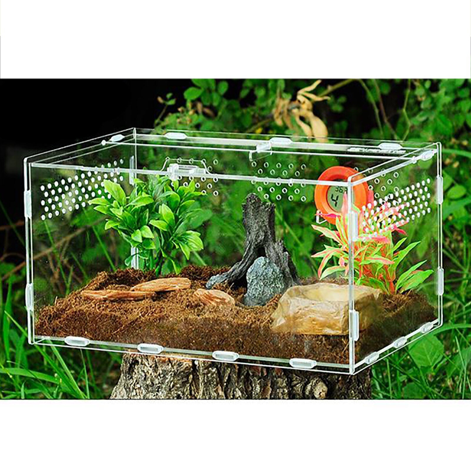 Transparant Acryl Kweekbak Voeden Insect Fokken Acryl Voeden Anti-Escape Terrarium Spider Grootbrengen Voeden Dozen