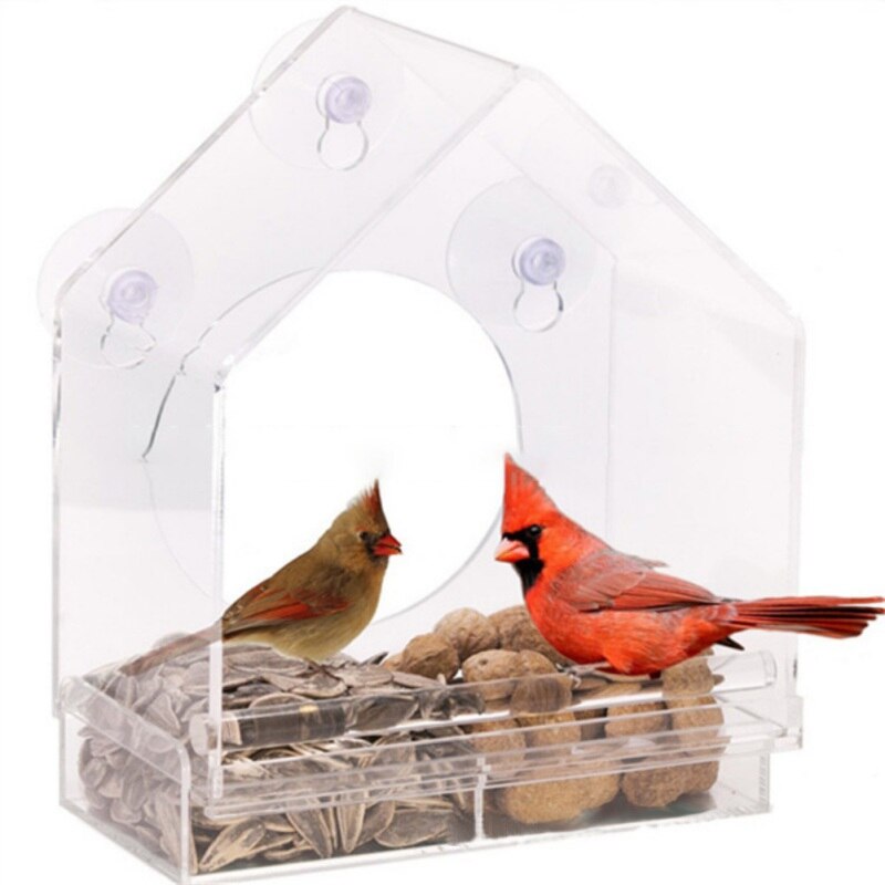 Pet Acrylic material Pet Bird feeder Clear Window Squirrel Proof Bird Feeder Window bird feeders AB