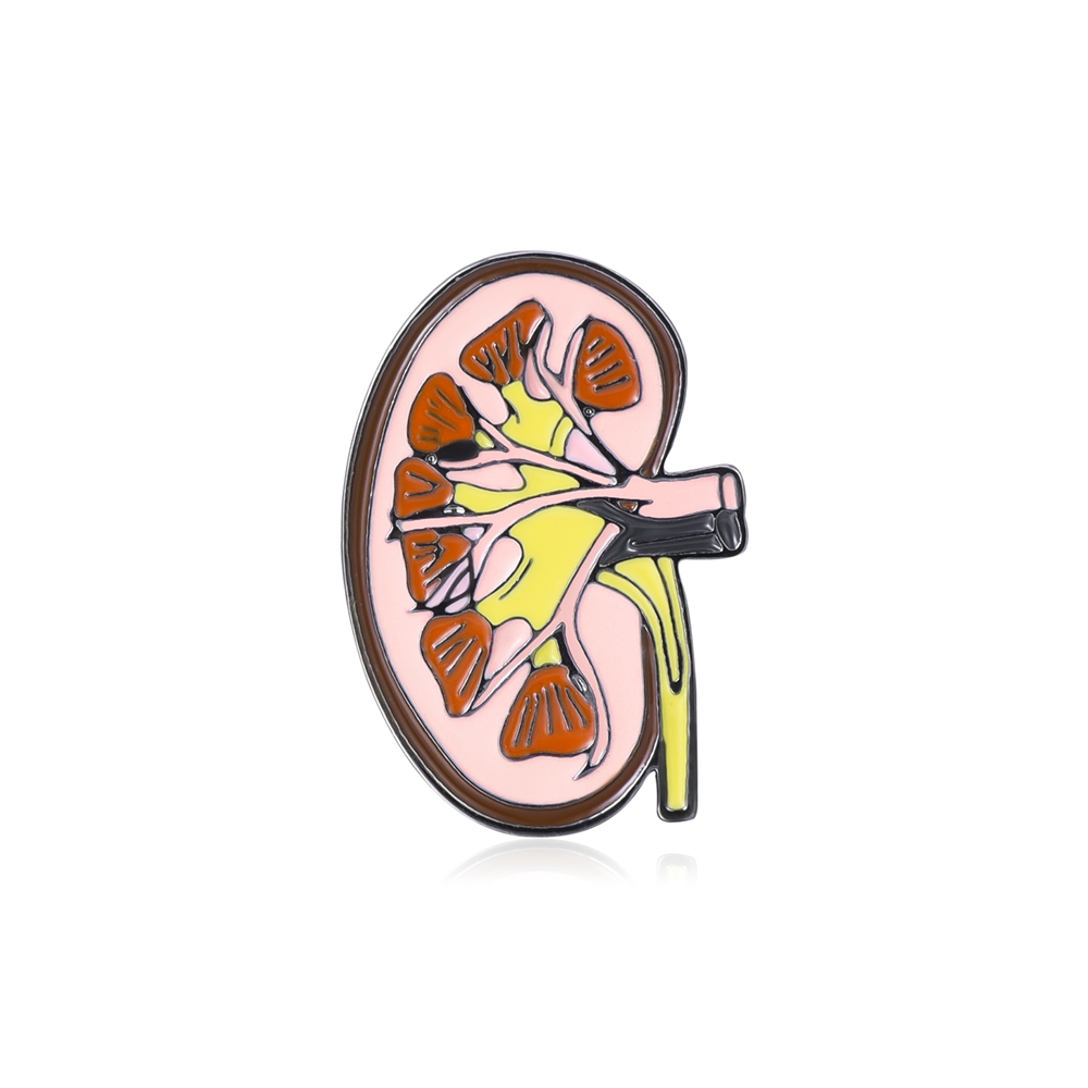 Hanreshe émail orgue broches broches anatomie médicale rein cerveau coeur crâne Badges médecine bijoux pour médecin infirmière: Couleur or