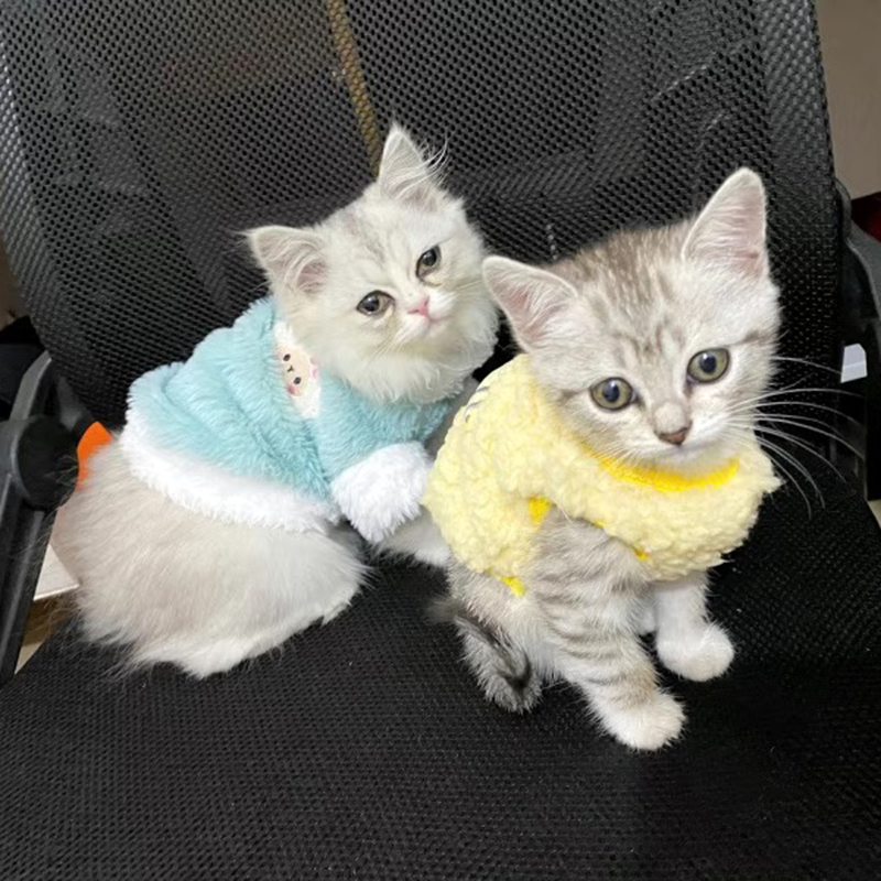 Pasgeboren Kat Kitten Fluwelen Kleding Winter Warm Kleine Huisdier Trui voor Kleine Dieren Bunny Truien Kleding Theekopje Poedel XXXS