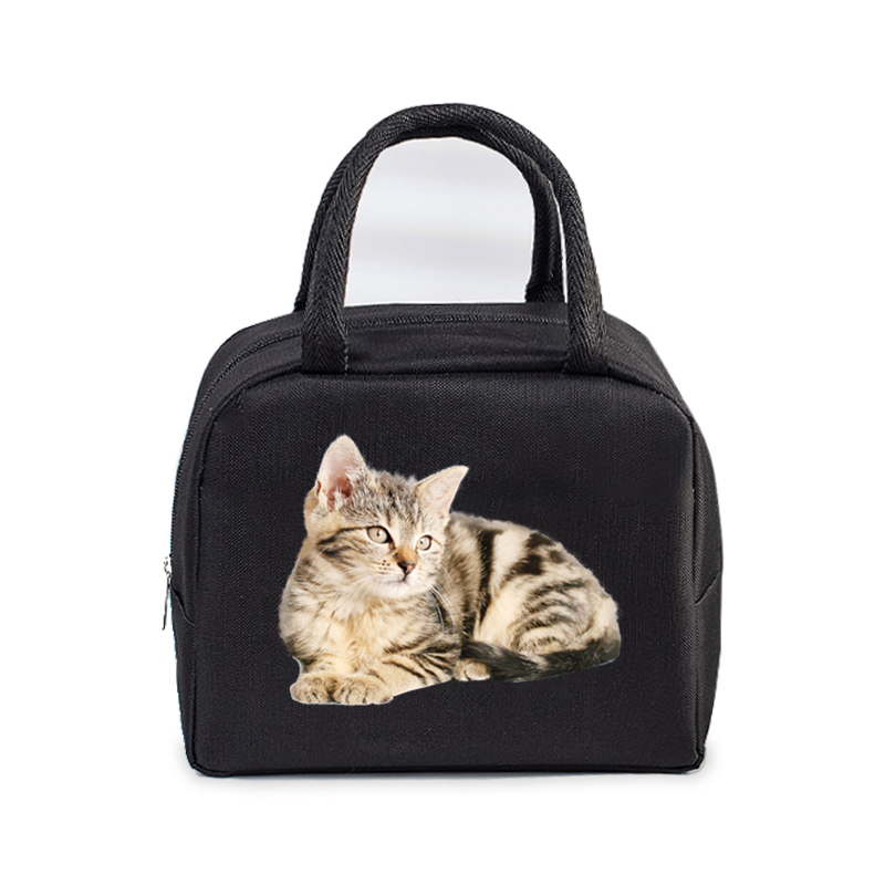 Lunch Bag for Women Men Insulated Portable 3D Cartoon Cats Multifunctional Bag Thermal Food Container School Kids Picnic Handbag: BŁĘKITNA