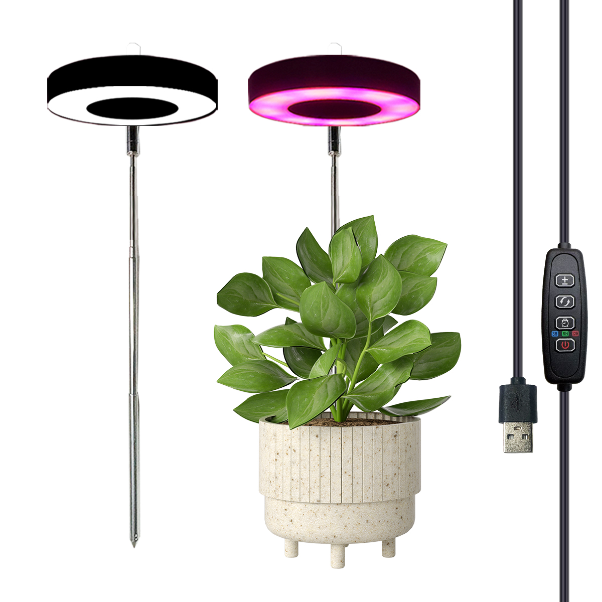 Drie kleuren met basisplantlicht Volledig spectrum LED-groeilicht voor kamerplanten 3/9/12 timing in hoogte verstelbaar 10-niveaus dimmen: Black