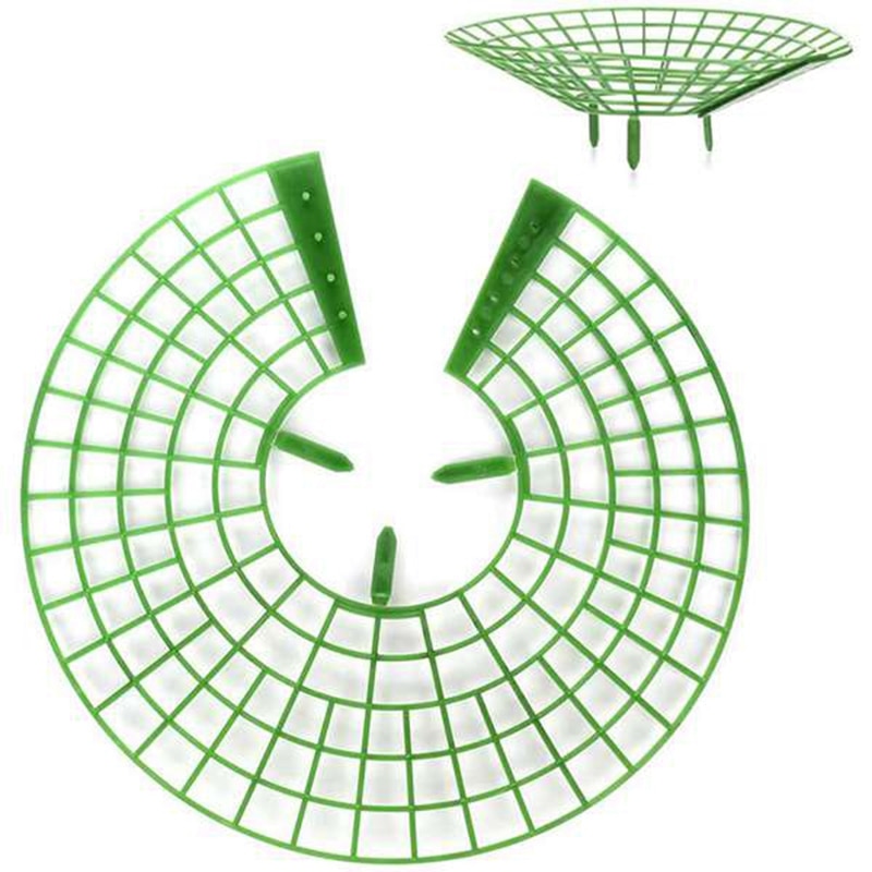 Fresas soporte práctico fresas Gg extraíble mantener la planta fuera de la putrefacción en los días lluviosos
