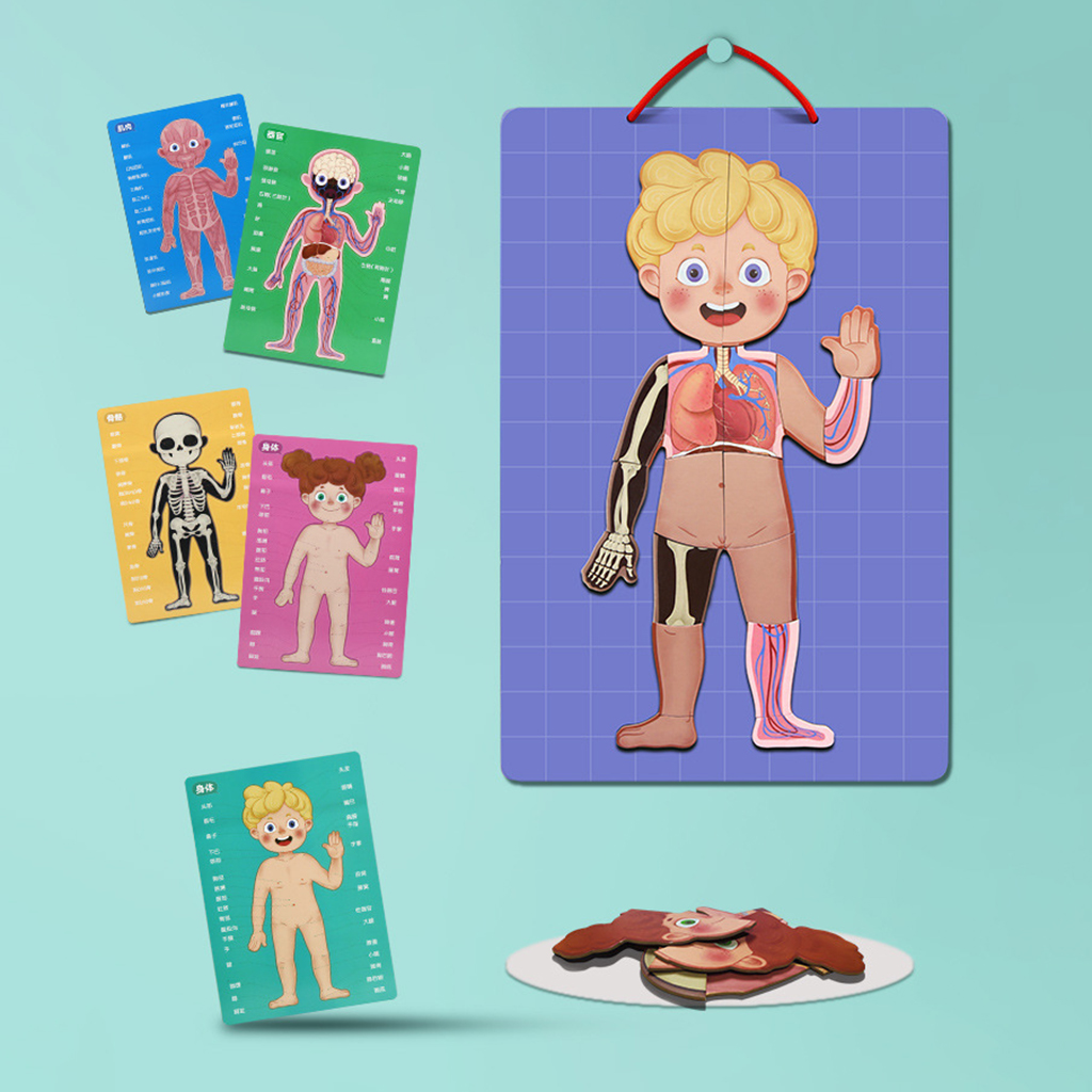 Wooden My Body Puzzle for Toddlers &amp; Kids - 89 Piece Kids Anatomy Play Set, Magnetic Pieces