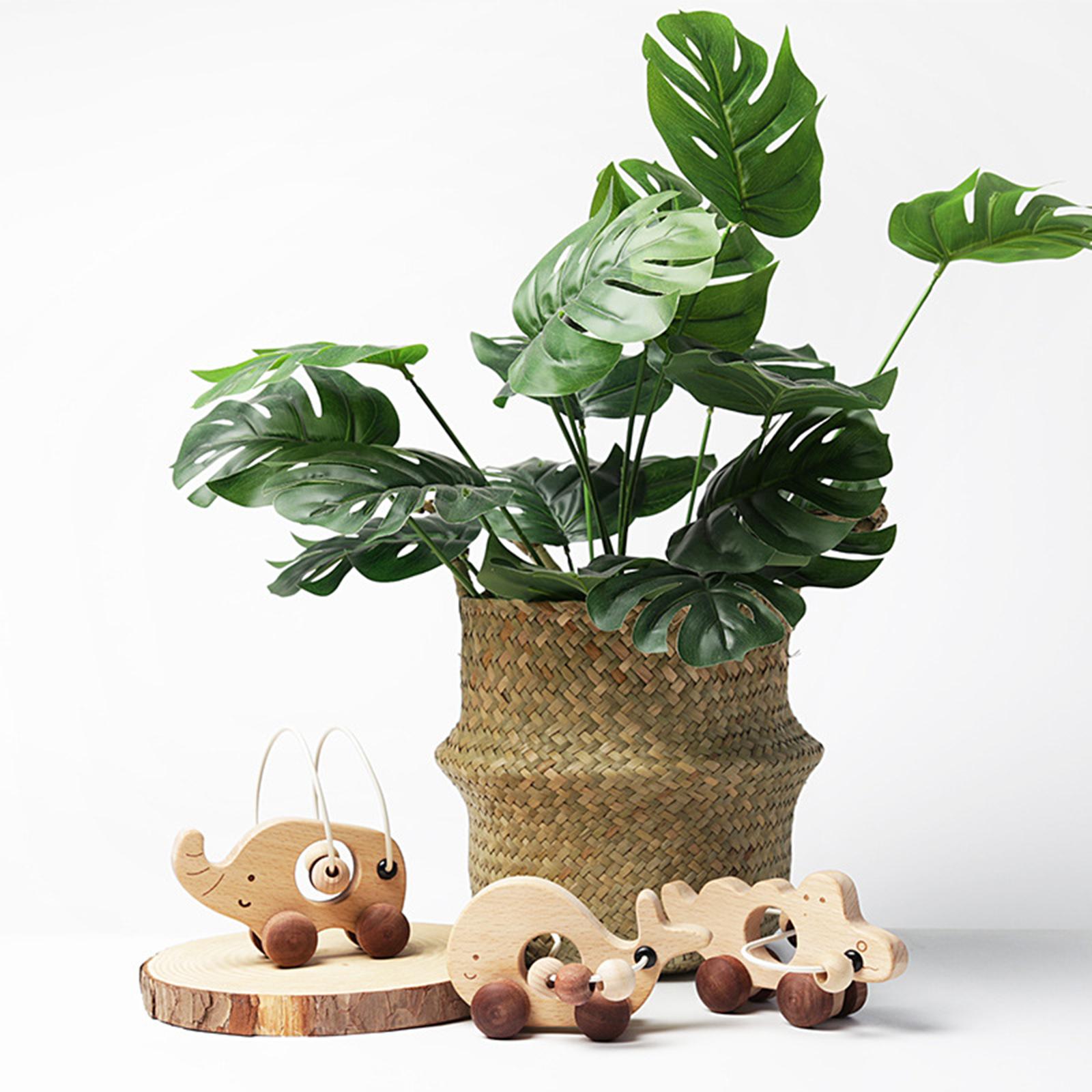 Animal Shape Wood Car Toy Early Education Pull Along Toys Drag for Preschool