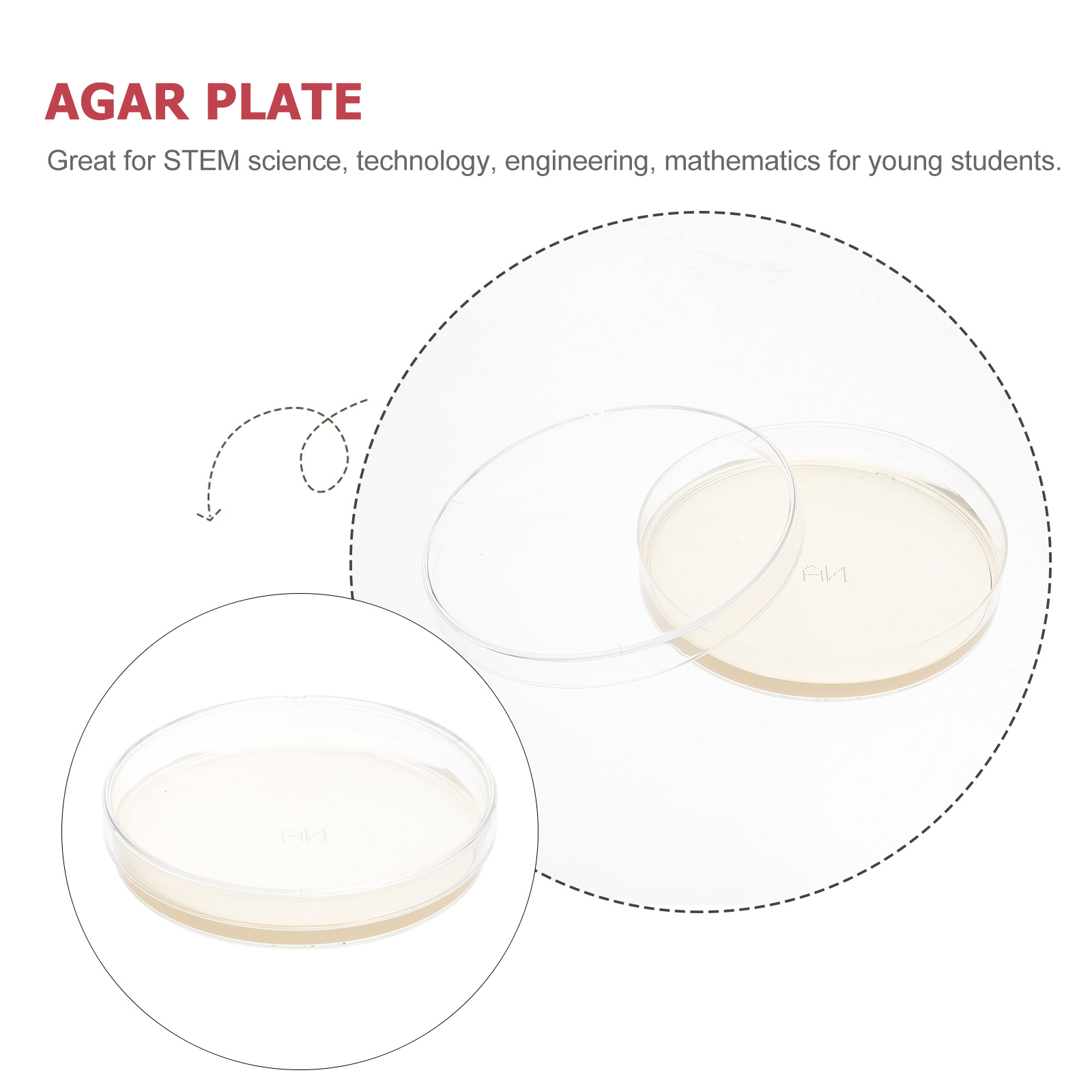 thumbnail image 2 of 10Pcs Glass Petri Dishes Lids Cell Culture Dish Shot Glass Lid Reaction 2 of 11