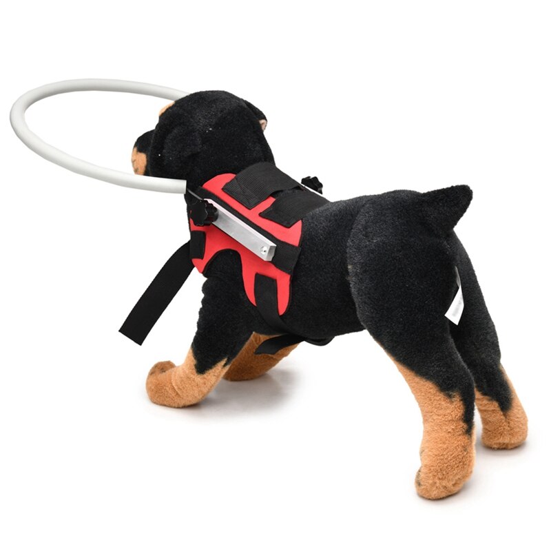 Collar de anillo anticolisión para mascotas ciegas, arnés de Halo seguro para perros ciegos, Círculo de guía de Color para mascotas, Círculo de guía de protección para animales